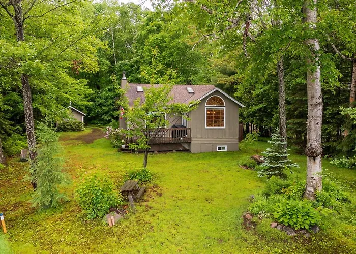 Bear Essentials Hideaway