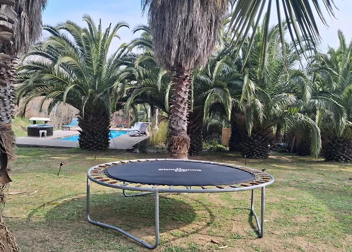 The Farmhouse Palm Tree Cabin