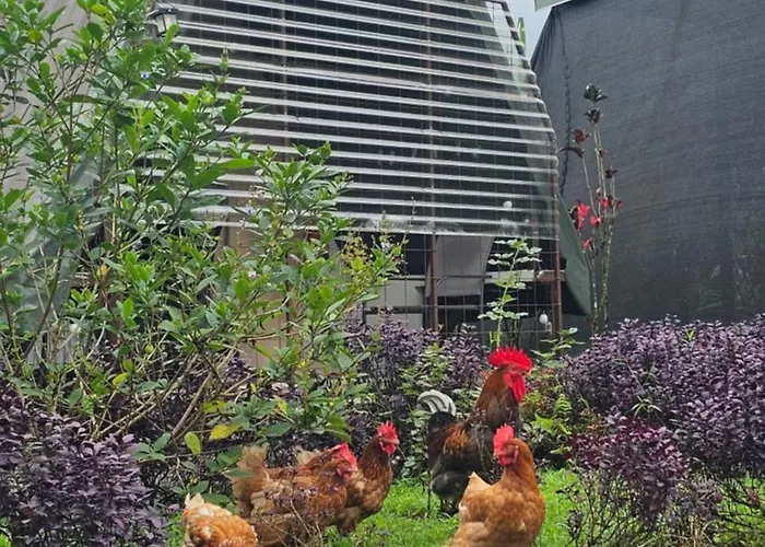 Flora Glamping De Abuela