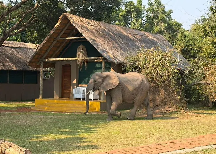 Thornicroft Lodge - South Luangwa