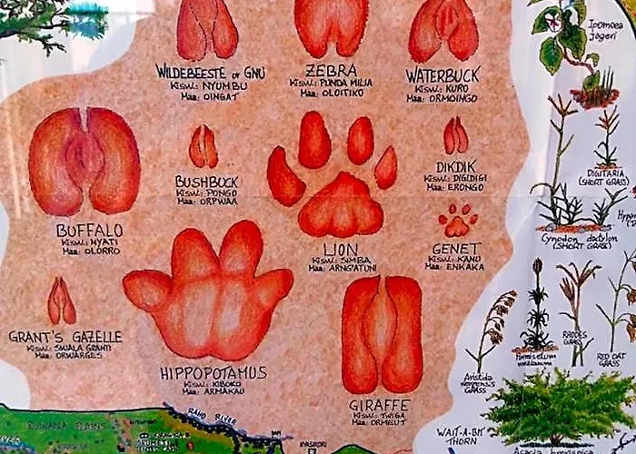 Seronera Wildlife Lodge