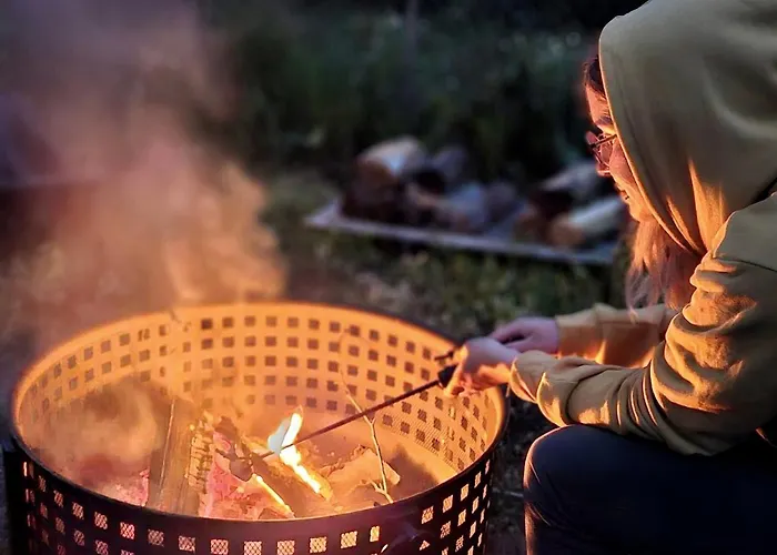 Cozy Tiny Cabin - Off-Grid Experience With Sled Dogs Year 'Round In Minnesota