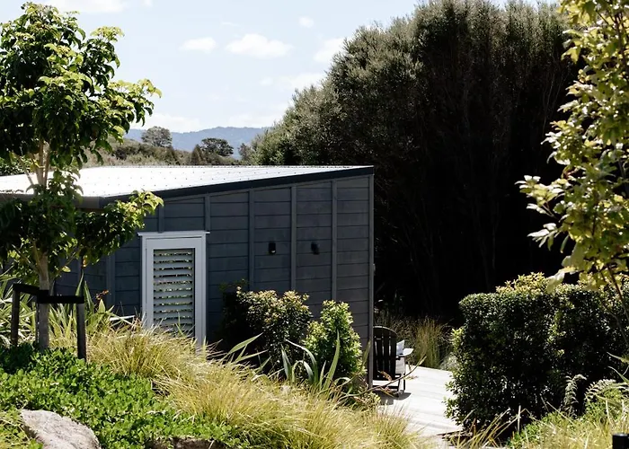 Kiwi Calls & Manuka Trees - Bluestone Studio