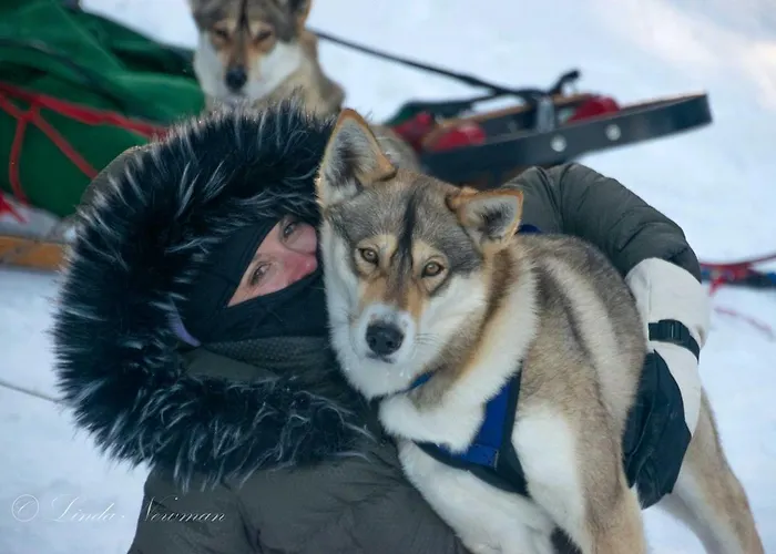 Cozy Tiny Cabin - Off-Grid Experience With Sled Dogs Year 'Round In Minnesota