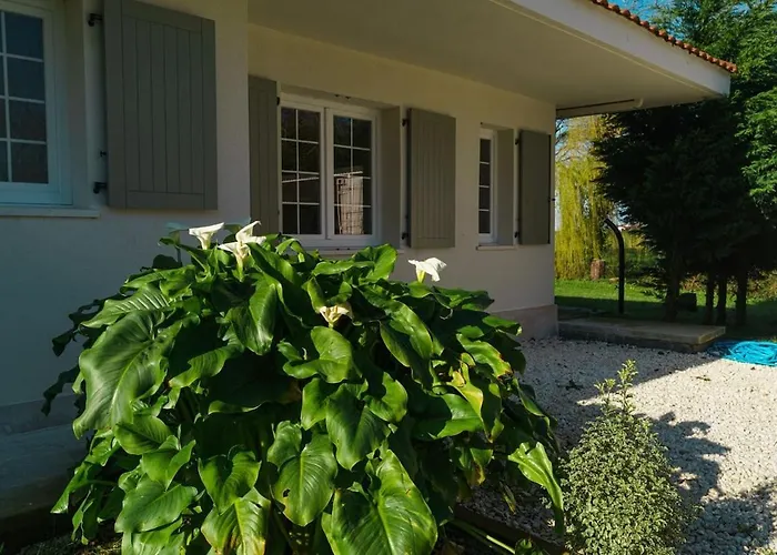 Maravillosa casa con porche y jardín