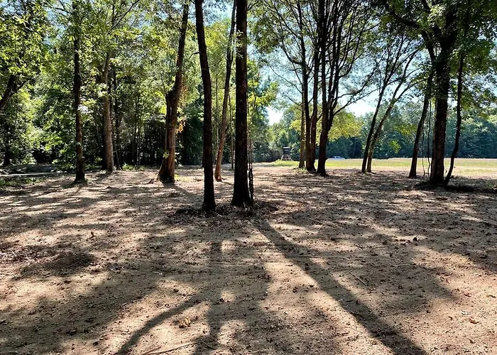 Cute Tiny House On Sixty Acres Of Private Land For A Peaceful Glamping Getaway In Northern Mississippi