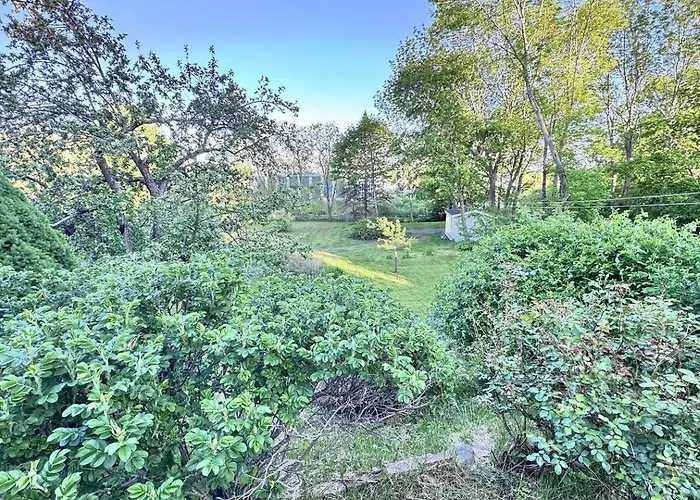 Spacious 4Br Home W/ Deck + Bbq Walk To Hospital - Holiday Home