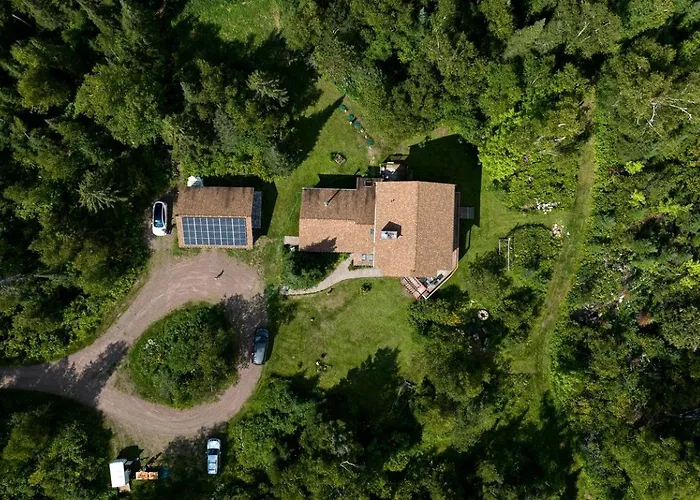 Family-Friendly Cabin Surrounded By Nature With Indoor Sauna In Grand Marais, Minnesota