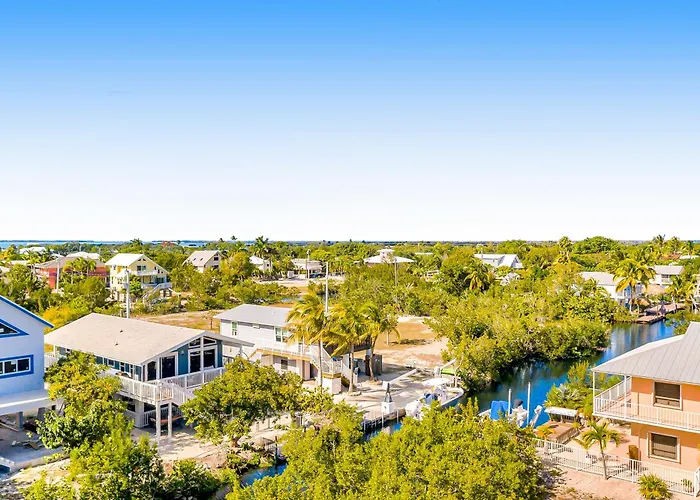 Bp05Flr Tradewinds Treat
