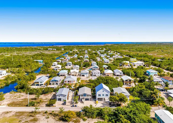 Bp05Flr Tradewinds Treat