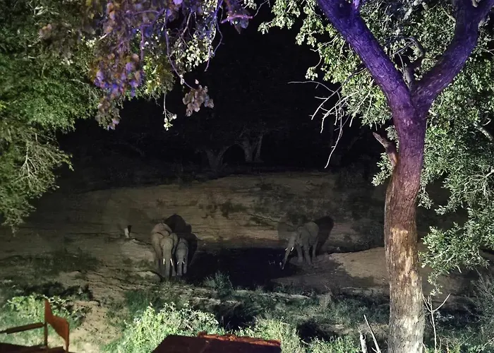 Nkinga River Lodge