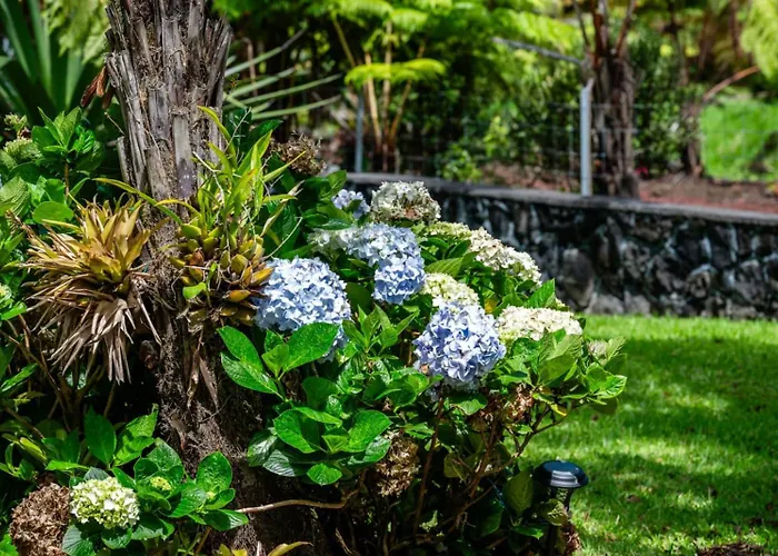 Beautiful Volcano Getaway With Hot Tub Near National Park