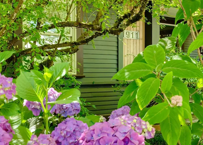 Muminhuset/Professor'S Cottage