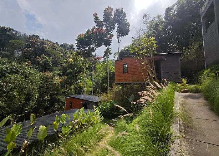 Mariposa Cabin