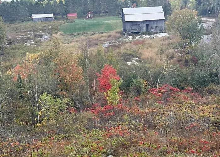 The Bluebird Lodge French River - Pet Friendly