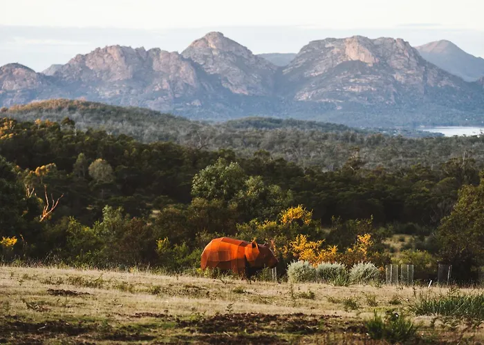 Freycinet Resort