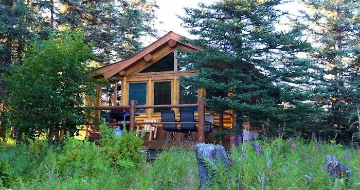 Moose Cabin