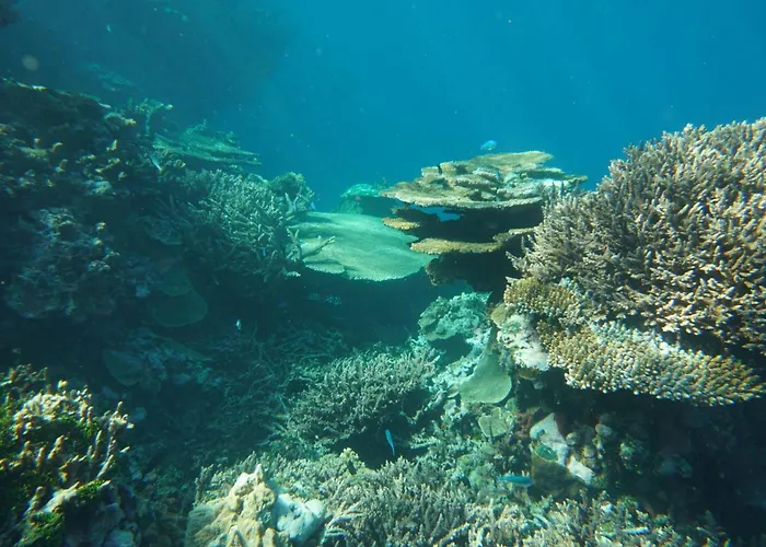 Fiji Lodge Vosa Ni Ua