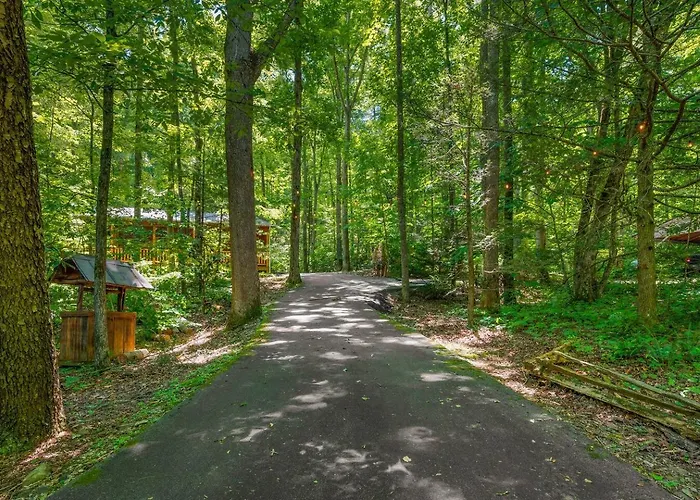 Dreamy Cabin & Outdoor Oasis! Mins To Nat'L Park!