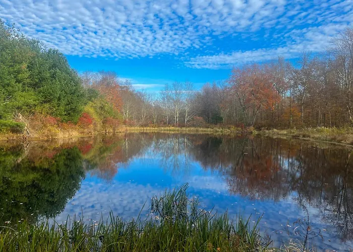 Secluded Poconos Cabin: 75 Acres & Fire Pit!