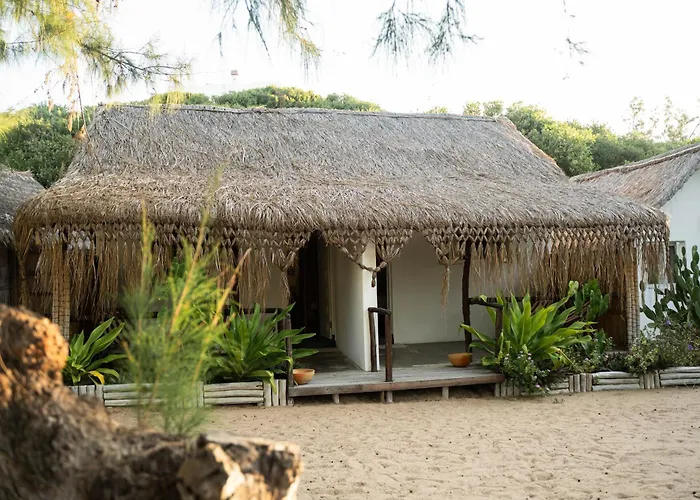 Tofo Beach Gardens