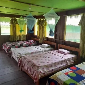 Amazon Tropical Tours