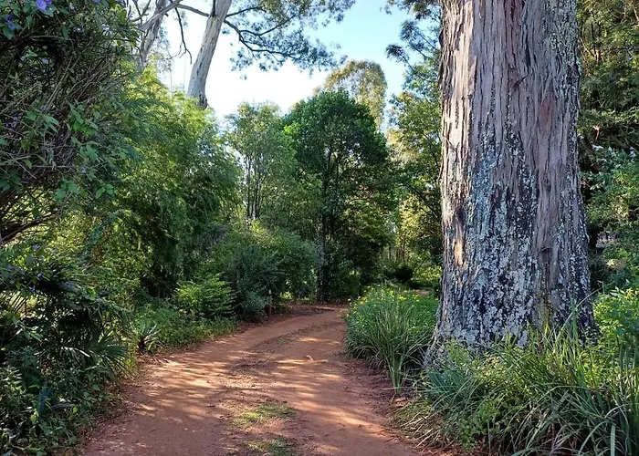 Woodland Gardens Self-Catering & Pet-Friendly Lodge