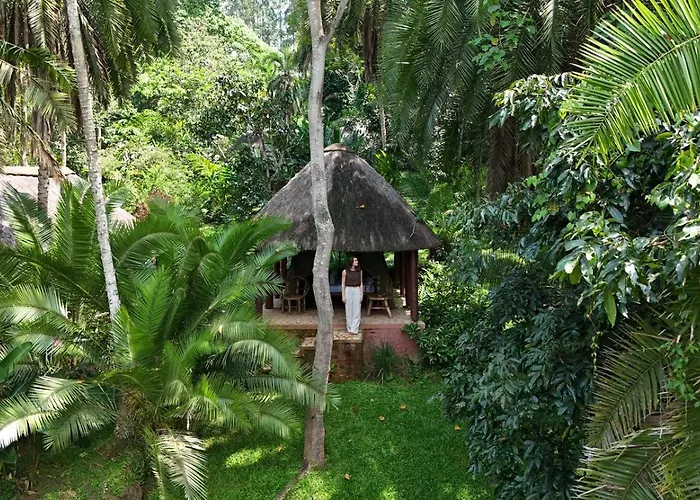 Kibale Forest Camp By Nature Lodges Ltd