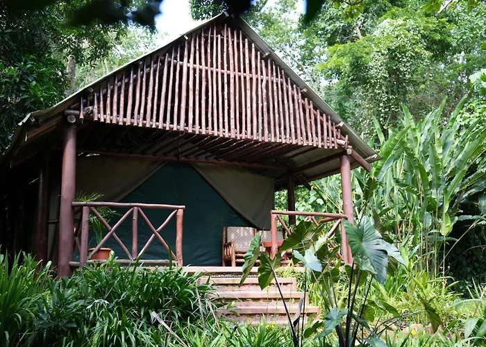Kibale Forest Camp By Nature Lodges Ltd