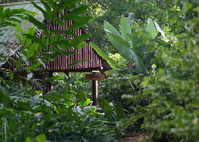 Kibale Forest Camp By Nature Lodges Ltd