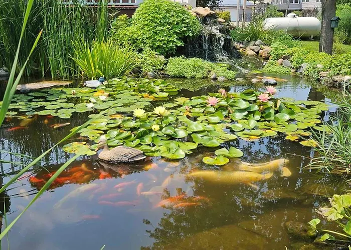 Trickling Waters Retreat