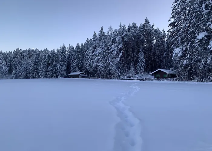 Waldchalet Am Eichhof