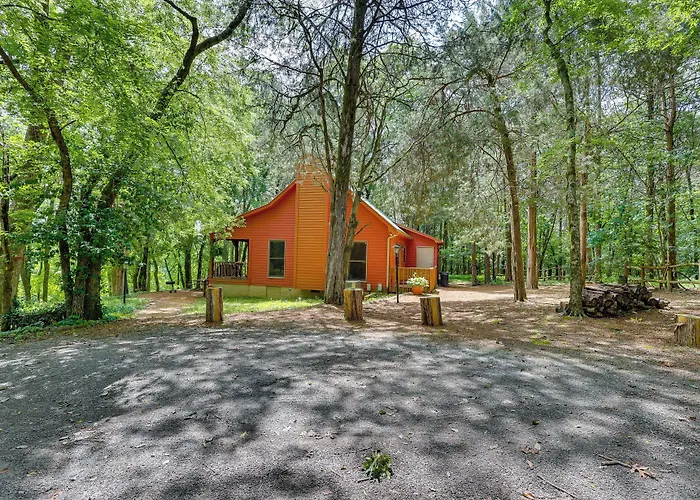 Serene Cabin W/ Riverfront Views & Access!