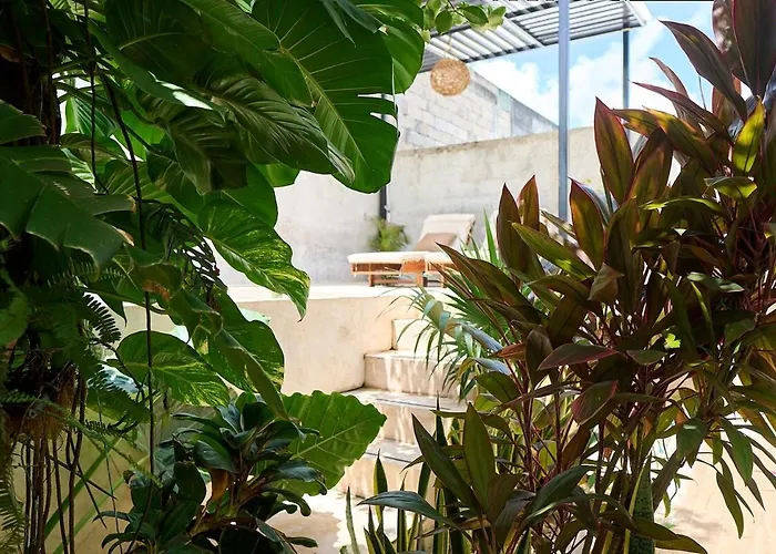 Private House With Pool, 2 Bedrooms, Parking & 2 Free Bikes