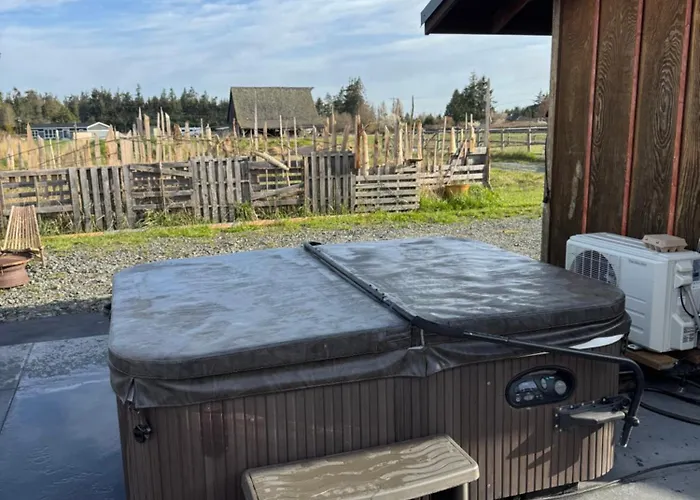 Blue Moon Tiny House Hot Tub Sauna Mtnviews