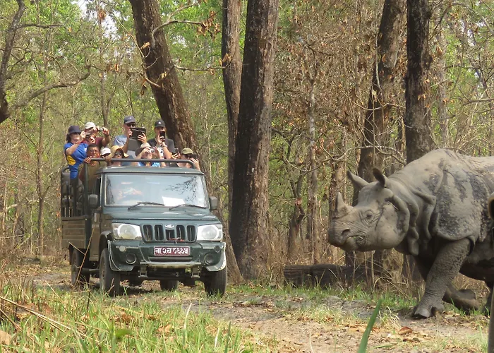 Jungle Safari Lodge Chitwan National Park Sauraha