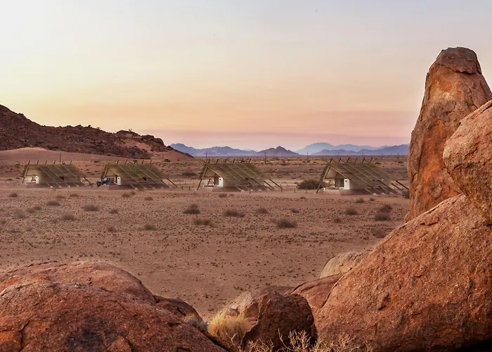 Desert Quiver Camp