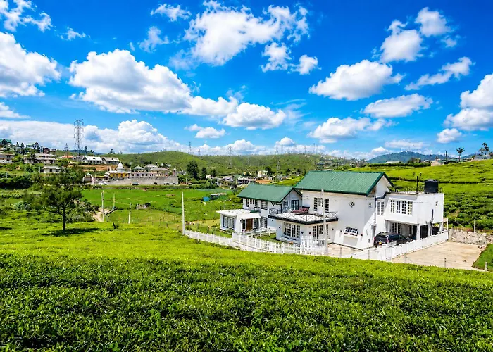 Villa Tea Fields - Free Breakfast, Just 4Km From City, Near Lake Gregory