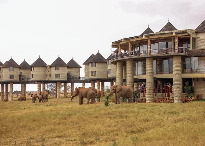 Salt Lick Safari Lodge