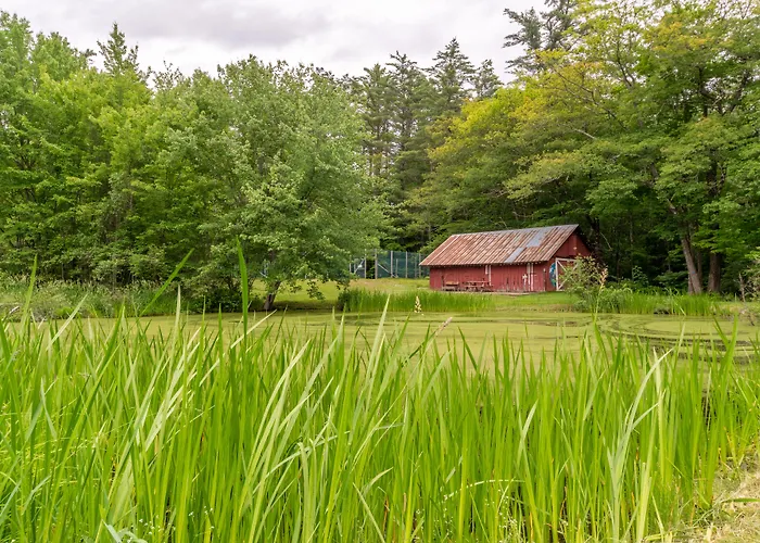 Cranmore Mountain Lodge Bed & Breakfast