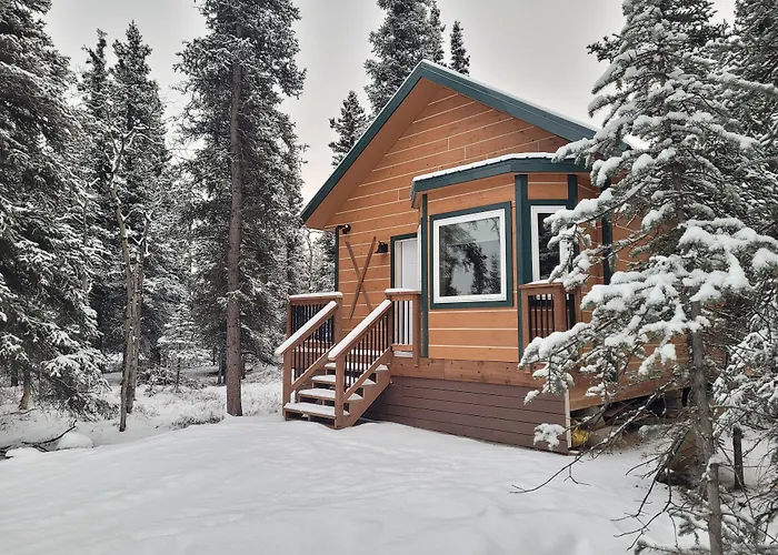 Denali Wild Stay - Redfox Cabin, Free Wifi, Private, Sleep 6