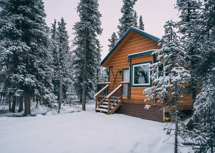 Denali Wild Stay - Redfox Cabin, Free Wifi, Private, Sleep 6