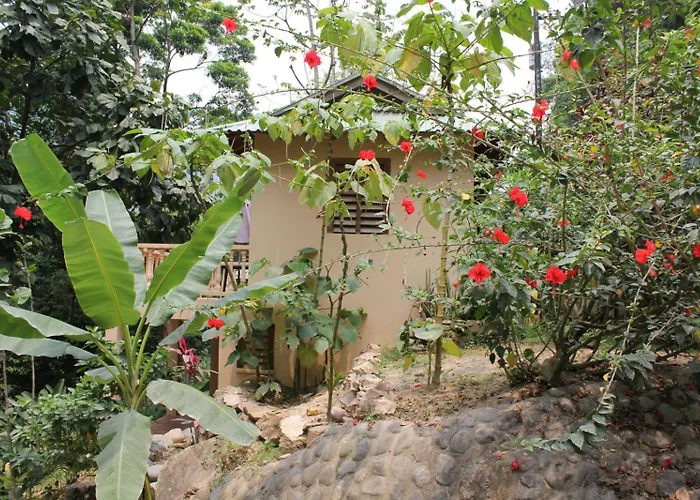 Villas Pico Bonito