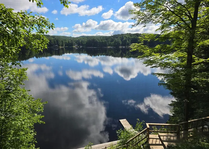 Camp Lake Bear