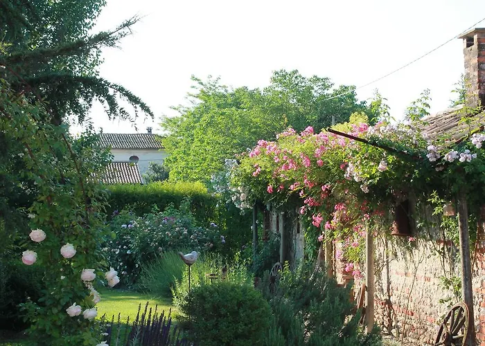 La Vigna B&B