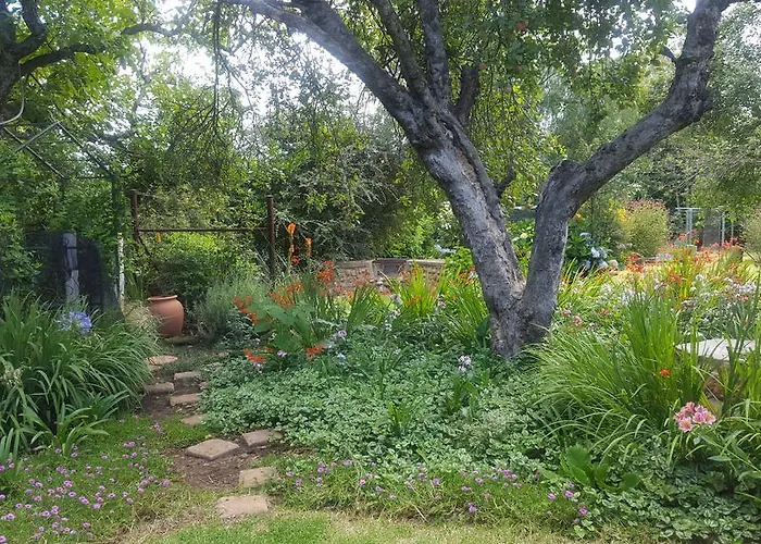 Cottage Suikerbekkie