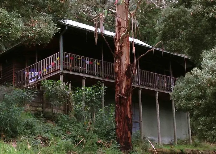 Tall Trees Eco Retreat - Blackwood Cottage