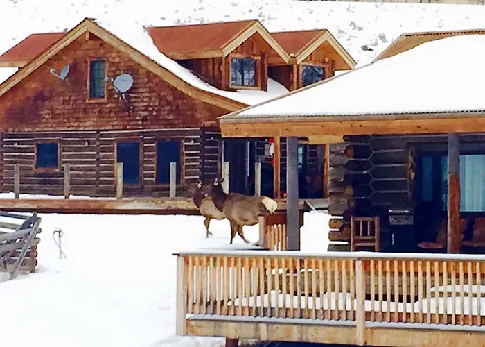 Creek Cabin
