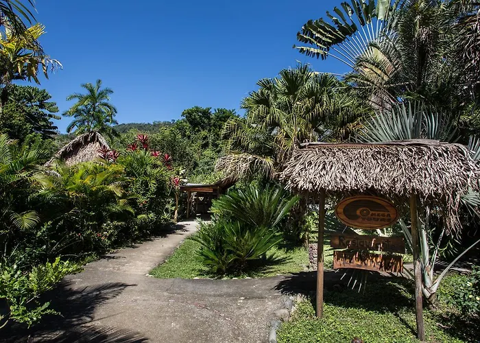 Omega Tours Eco-Jungle Lodge