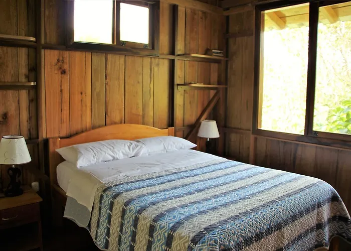 Bird Lover'S House
